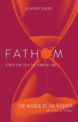 Picture of Fathom Bible Studies The Wisdom of the Kingdom Leader Guide