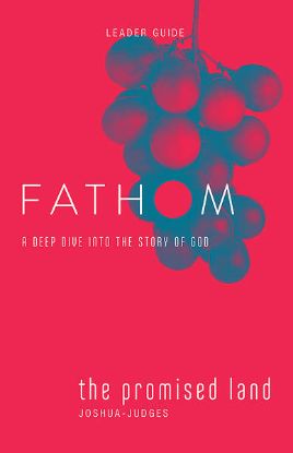 Picture of Fathom Bible Studies The Promised Land Leader Guide