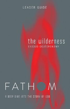 Picture of Fathom Bible Studies The Wilderness Leader Guide