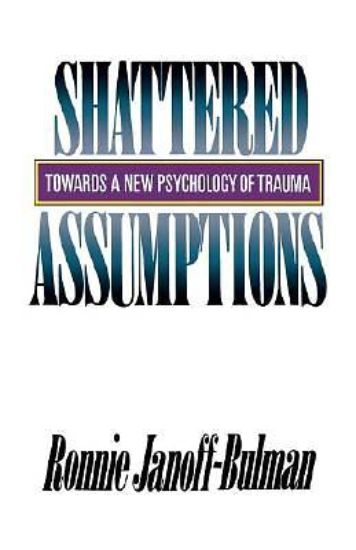 Picture of Shattered Assumptions