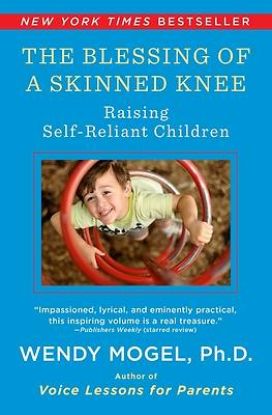 Picture of The Blessing of a Skinned Knee