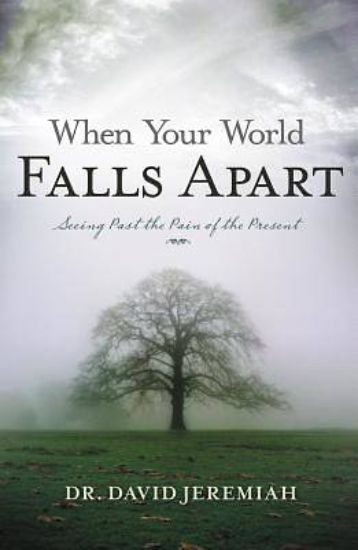 Picture of When Your World Falls Apart