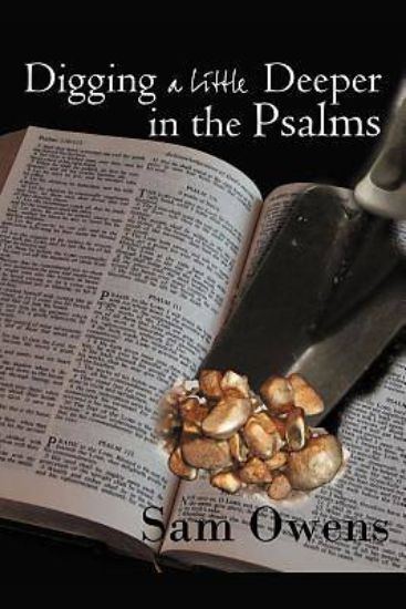 Picture of Digging a Little Deeper in the Psalms