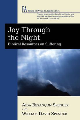 Picture of Joy Through the Night