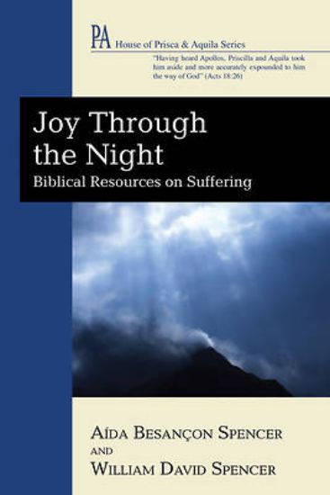 Picture of Joy Through the Night