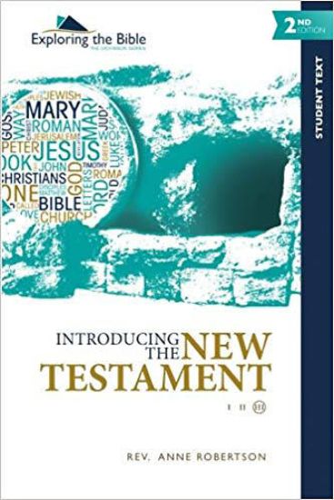 Picture of Introducing the New Testament