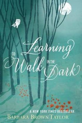 Picture of Learning to Walk in the Dark - eBook [ePub]