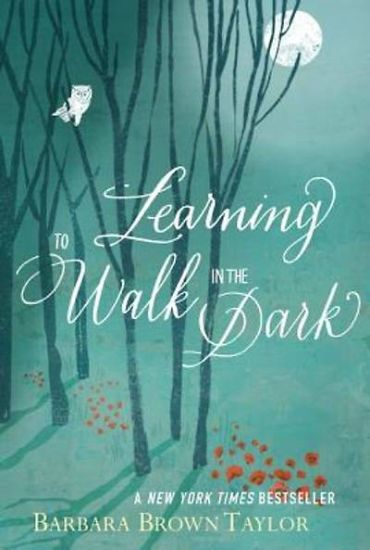 Picture of Learning to Walk in the Dark - eBook [ePub]