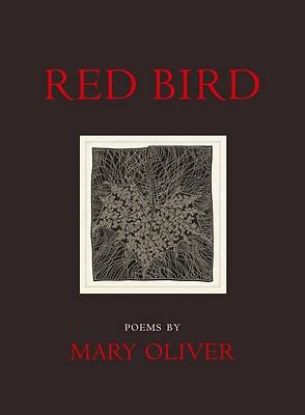 Picture of Red Bird