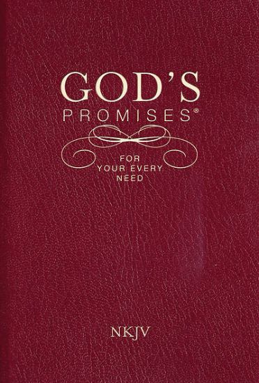 Picture of God's Promises for Your Every Need, NKJV