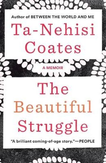 Picture of The Beautiful Struggle