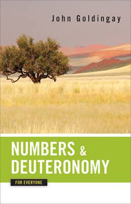 Picture of Numbers and Deuteronomy for Everyone