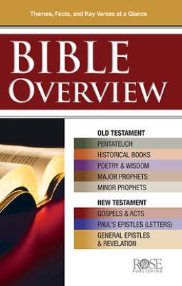 Picture of Bible Overview Pamphlet