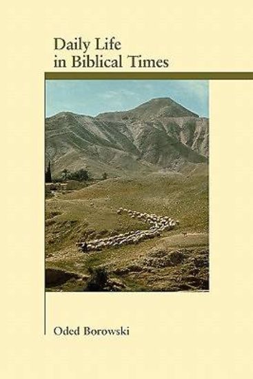 Picture of Daily Life in Biblical Times
