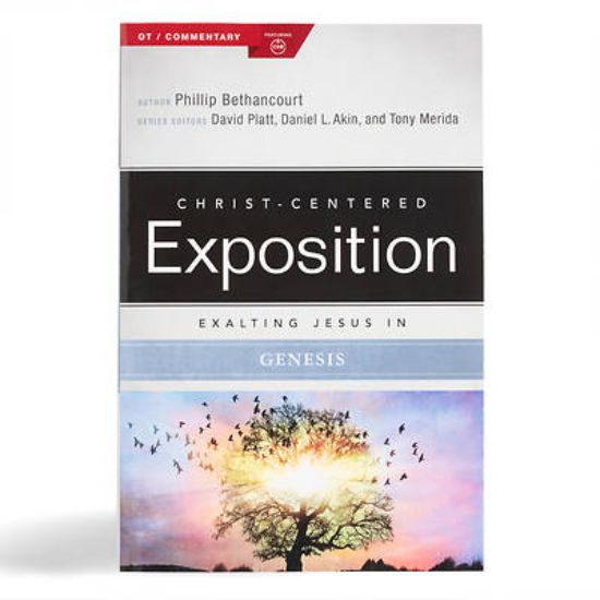 Picture of Exalting Jesus in Genesis
