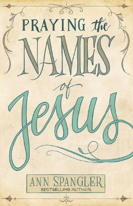 Picture of Praying the Names of Jesus: A Daily Guide