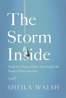 Picture of The Storm Inside