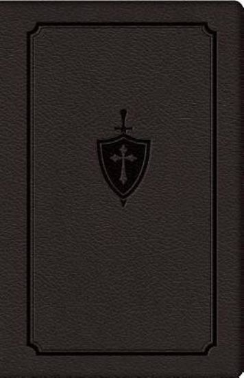 Picture of Manual for Conquering Deadly Sin