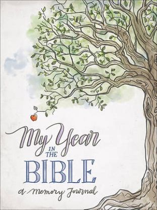 Picture of My Year in the Bible