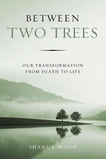Picture of Between Two Trees