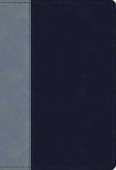 Picture of ESV Student Study Bible (Trutone, Navy/Slate, Timeless Design)
