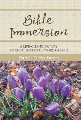 Picture of Bible Immersion
