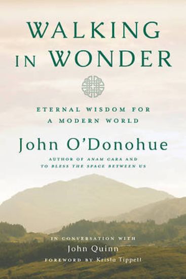 Picture of Walking in Wonder