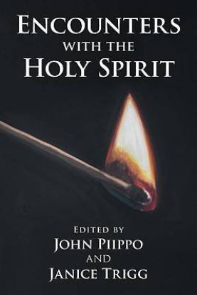 Picture of Encounters with the Holy Spirit