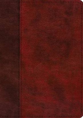 Picture of ESV Single Column Journaling Bible, Large Print (Trutone, Burgundy/Red, Timeless Design)