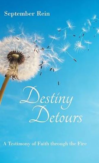 Picture of Destiny Detours
