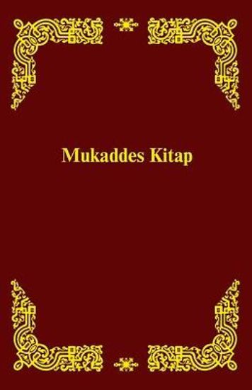 Picture of Spanish Braille Bible