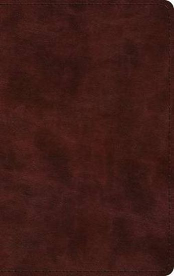 Picture of ESV Large Print Thinline Bible (Trutone, Mahogany)