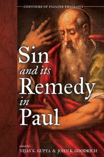 Picture of Sin and Its Remedy in Paul