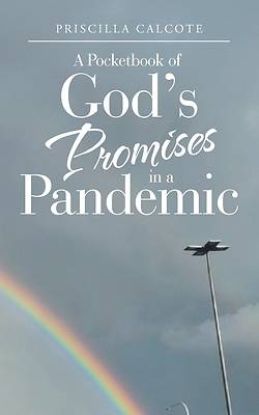Picture of A Pocketbook of God's Promises in a Pandemic