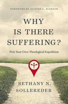 Picture of Why Is There Suffering?