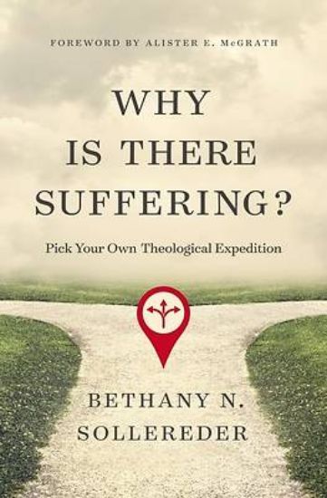 Picture of Why Is There Suffering?