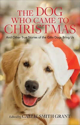Picture of The Dog Who Came to Christmas