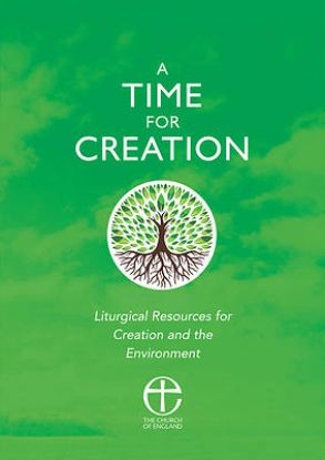 Picture of A Time for Creation
