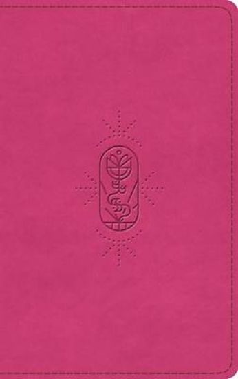 Picture of ESV Kid's Bible, Thinline (Trutone, Berry, the True Vine Design)