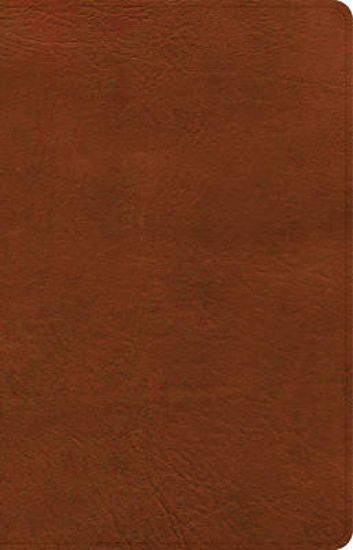 Picture of NASB Large Print Personal Size Reference Bible, Burnt Sienna Leathertouch, Indexed