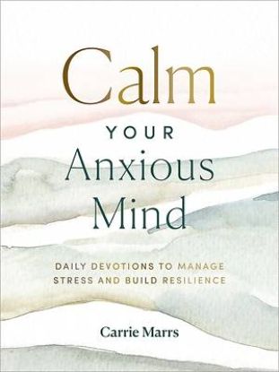 Picture of Calm Your Anxious Mind