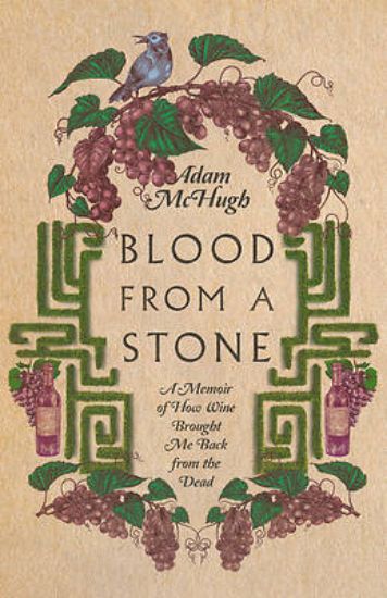 Picture of Blood from a Stone