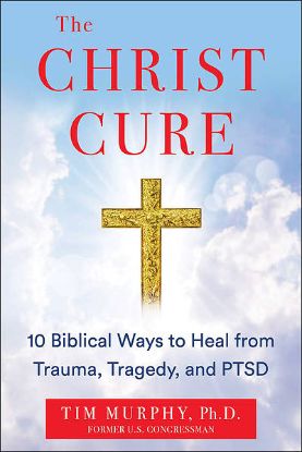Picture of The Christ Cure