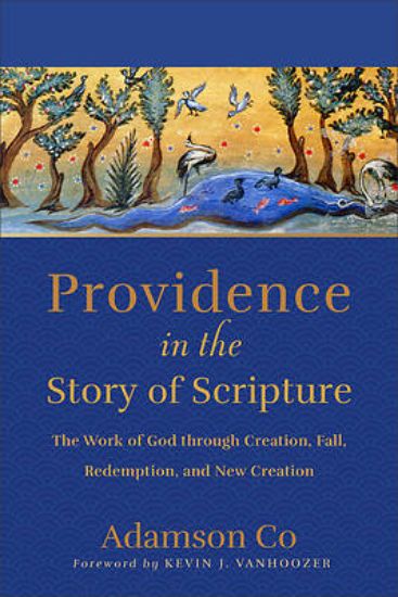 Picture of Providence in the Story of Scripture