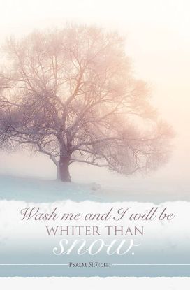 Picture of Wash Me and I will be Winter Regular Size Bulletin