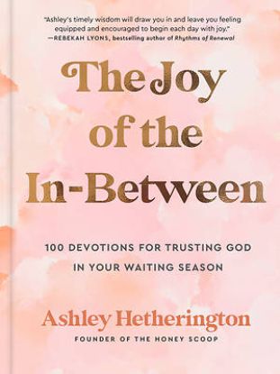 Picture of The Joy of the In-Between