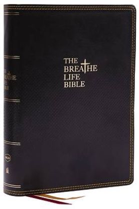 Picture of The Breathe Life Holy Bible