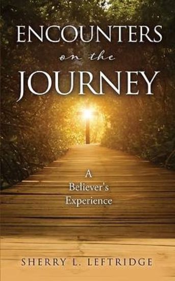 Picture of Encounters on the Journey