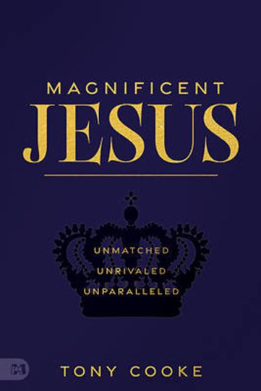 Picture of Magnificent Jesus