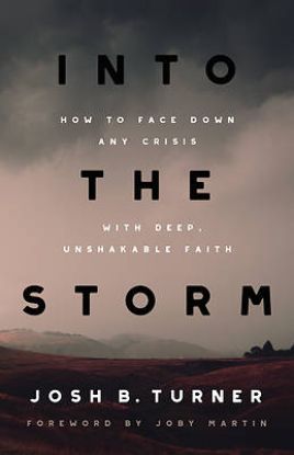 Picture of Into the Storm